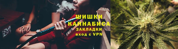 гидропоника Гусь-Хрустальный