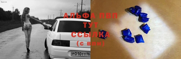 мяу мяу мука Гусев