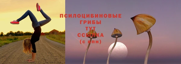 скорость mdpv Гусиноозёрск